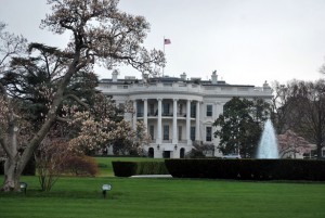 white-house